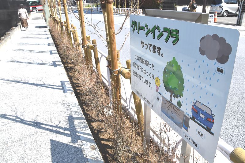 写真・図版 : 「グリーンインフラやってます。」と記された看板。道路に降った雨を浸透させる構造を解説している。今年3月に設置された＝2020年3月19日、東京都世田谷区 