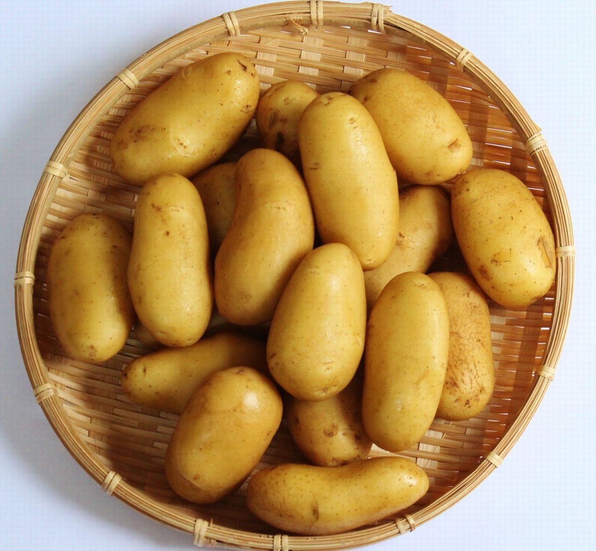 写真・図版 : 箱根西麓三島野菜のひとつ、メークイン（筆者撮影）