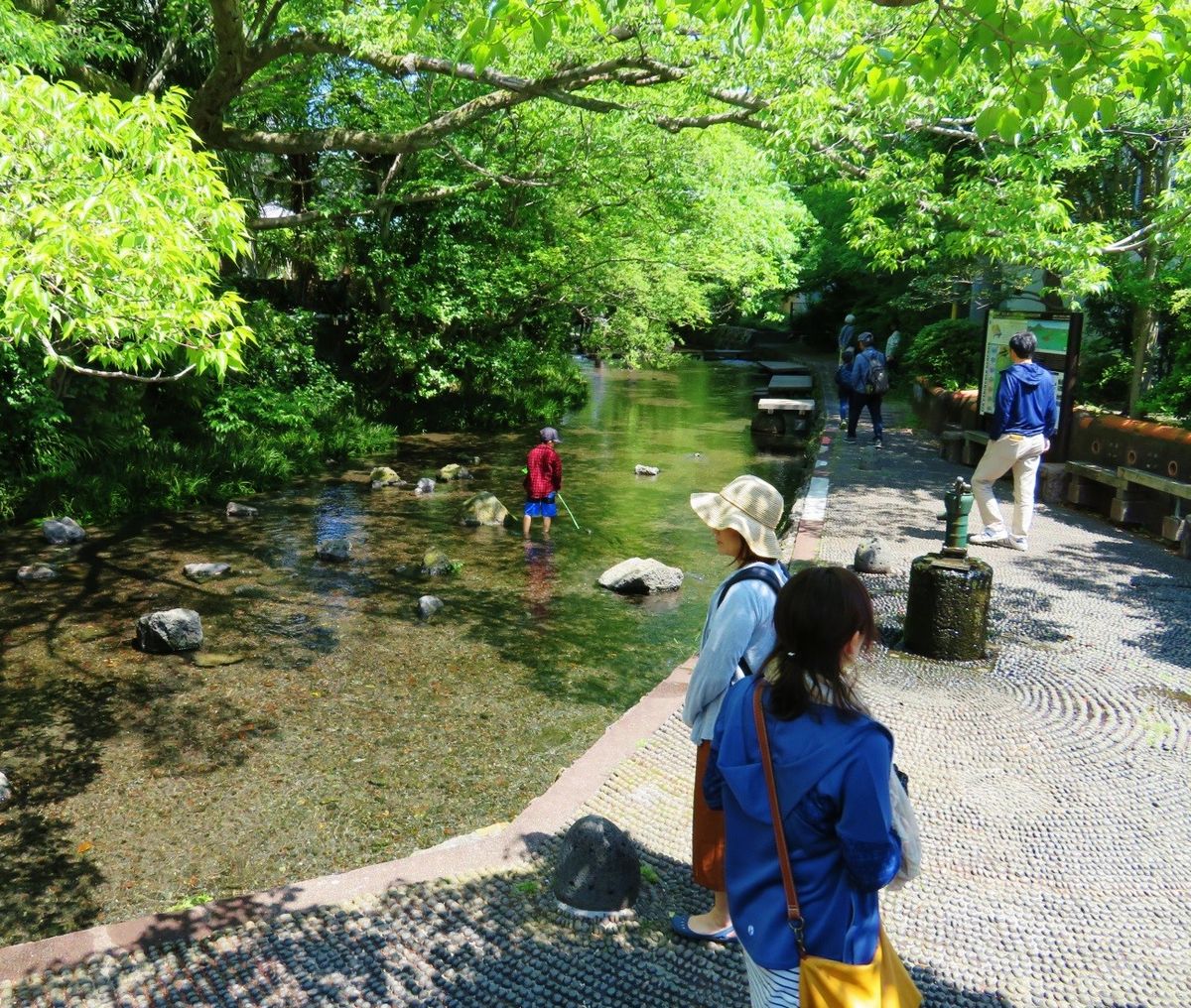 写真・図版 : 川幅が広くなり、水遊びにぴったりの一角。いつも親子連れなどでにぎわう（2018年、筆者撮影）