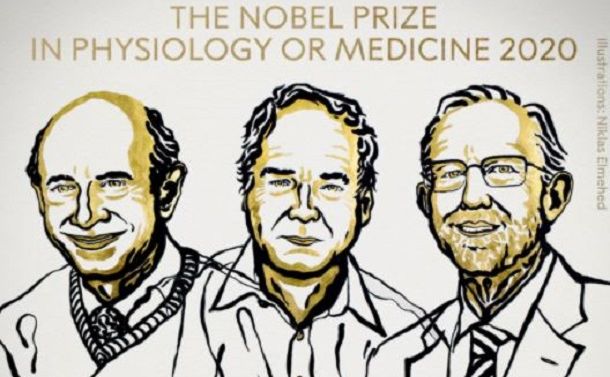 写真・図版 : 今年のノーベル医学生理学賞を受ける人たちのイラスト。左からオルター氏、ホートン氏、ライス氏＝ノーベル財団提供