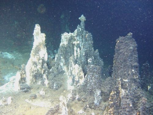 写真・図版 : 海底熱水鉱床。噴き出した金属が冷やされて小山を作る＝JOGMECのHPより