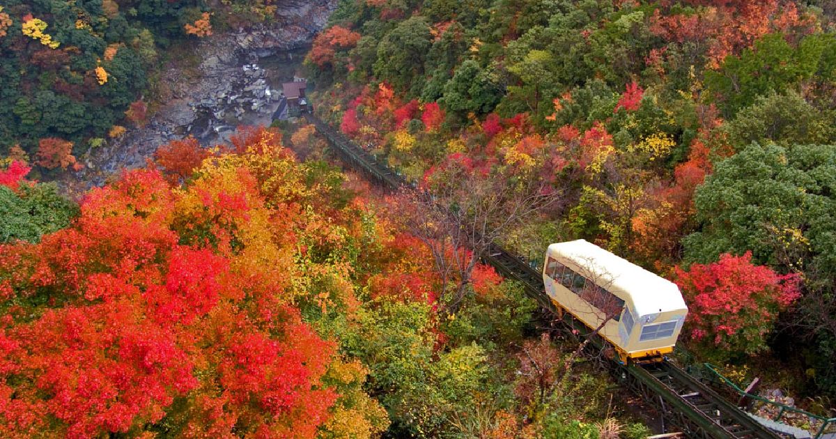 写真・図版 : 