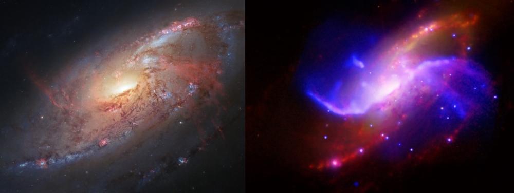 写真・図版 : 図3： 「りょうけん座」の方向に見える渦巻銀河NGC 4258。（左）可視光、（右）X線＝青、赤外線＝赤、電波＝紫の画像を重ねたもの。右図の2本の渦巻きは、銀河の中心核から噴き出ているジェット＝https://en.wikipedia.org/wiki/Messier_106#/media/File:Messier_106_visible_and_infrared_composite.jpg