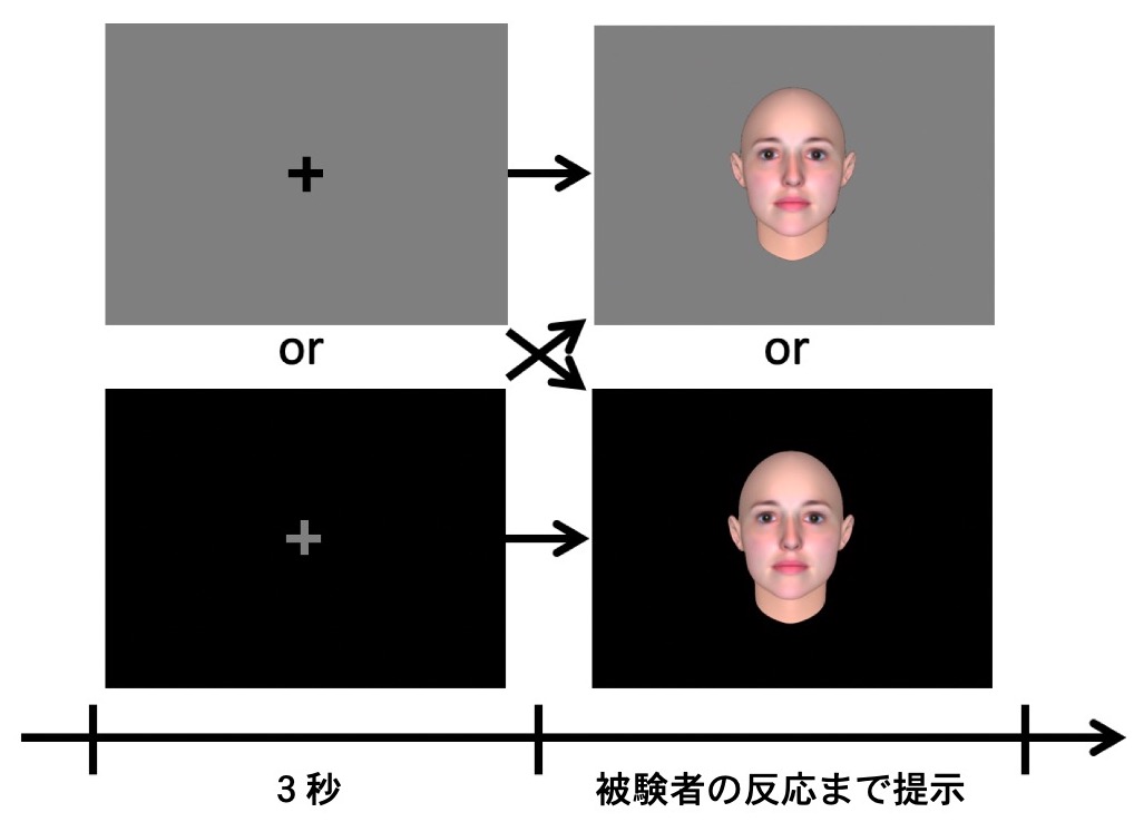 写真・図版 : 瞳孔反応の潜在的な操作　　顔の提示前（左側）と提示時（右側）の背景輝度で、瞳孔反応を操作できる。（Liao, Kashino, & Shimojo, J.Cog.Neurosci. 2020より改変）
