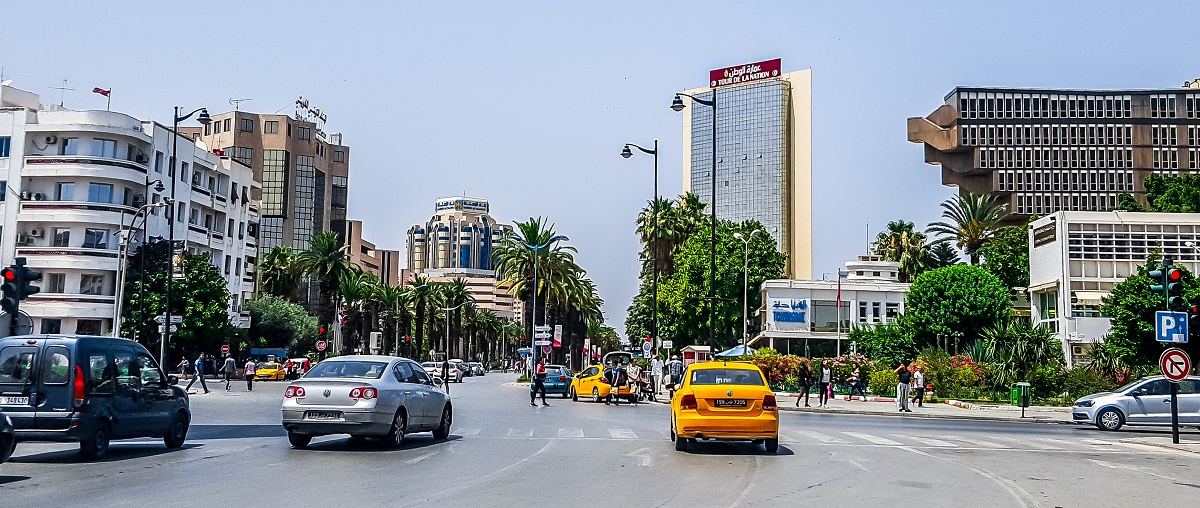 富裕層が多く暮らすチュニジアの首都チュニス　Zabotnova Inna/Shutterstock.com