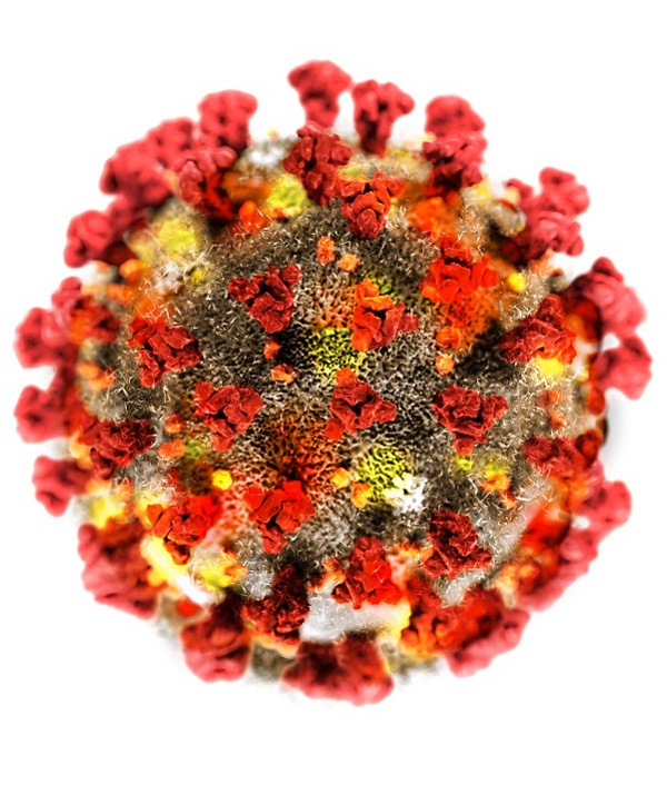 写真・図版 : 図1：新型コロナウイルスのイラスト。赤い色の部分が融合前の突起たんぱく質である（実際は赤いわけではない）=andrea crisante/shutterstock.com
