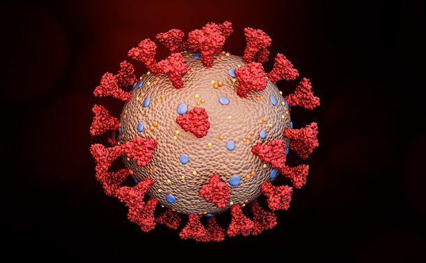 写真・図版 : ウイルス粒子表面から尽きだしているSタンパク質　Shutterstock.com