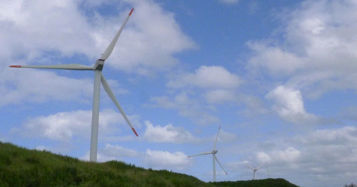 写真・図版 : カーボンプライシングは、風力発電などの再生可能エネルギーを増やすことにもつながることが期待される＝2020年9月、鳥取県北栄町 