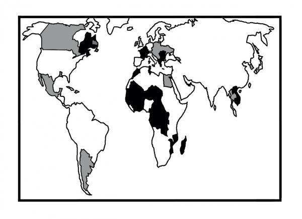 写真・図版 : 地図の黒い部分はフランス語を国語か共通語にしている国と地域。灰色はフランコフォニー国際機関に参加しているフランス語が普及している国。