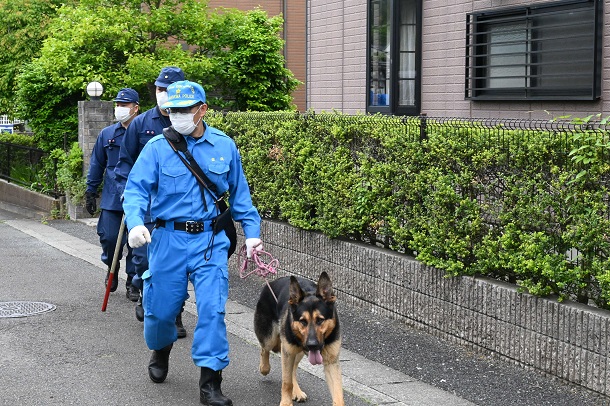 現場では警察犬も捜索に加わった=2021年5月7日午前10時42分、横浜市戸塚区名瀬町
