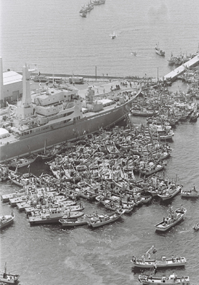 写真・図版 : 原子力船「むつ」の出港を阻止する漁船群=1974年