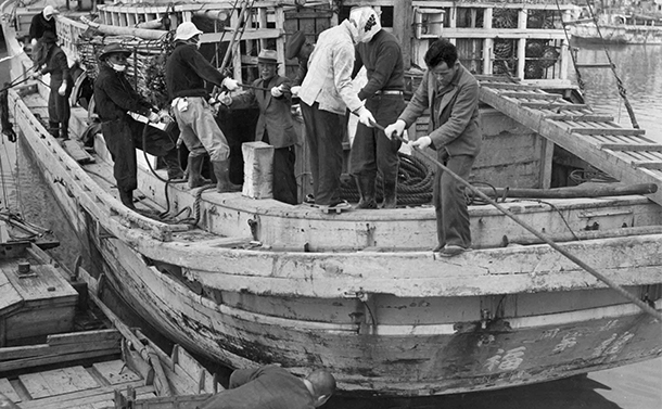 写真・図版 : 第五福竜丸を静岡県焼津魚市場の岸壁から対岸の岸壁に移動させる乗組員ら＝1954年