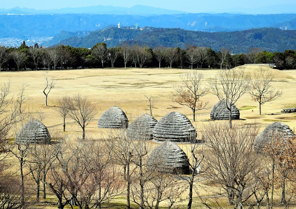 写真・図版 : 復元された上野原移籍の住居と集落＝2016年3月、鹿児島県霧島市の上野原縄文の森  