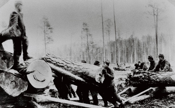 写真・図版 : シベリアでの鉄道の建設現場で、木材をトラックに積む抑留者＝1948年ごろ撮影、旧ソ連国立中央公文書館提供