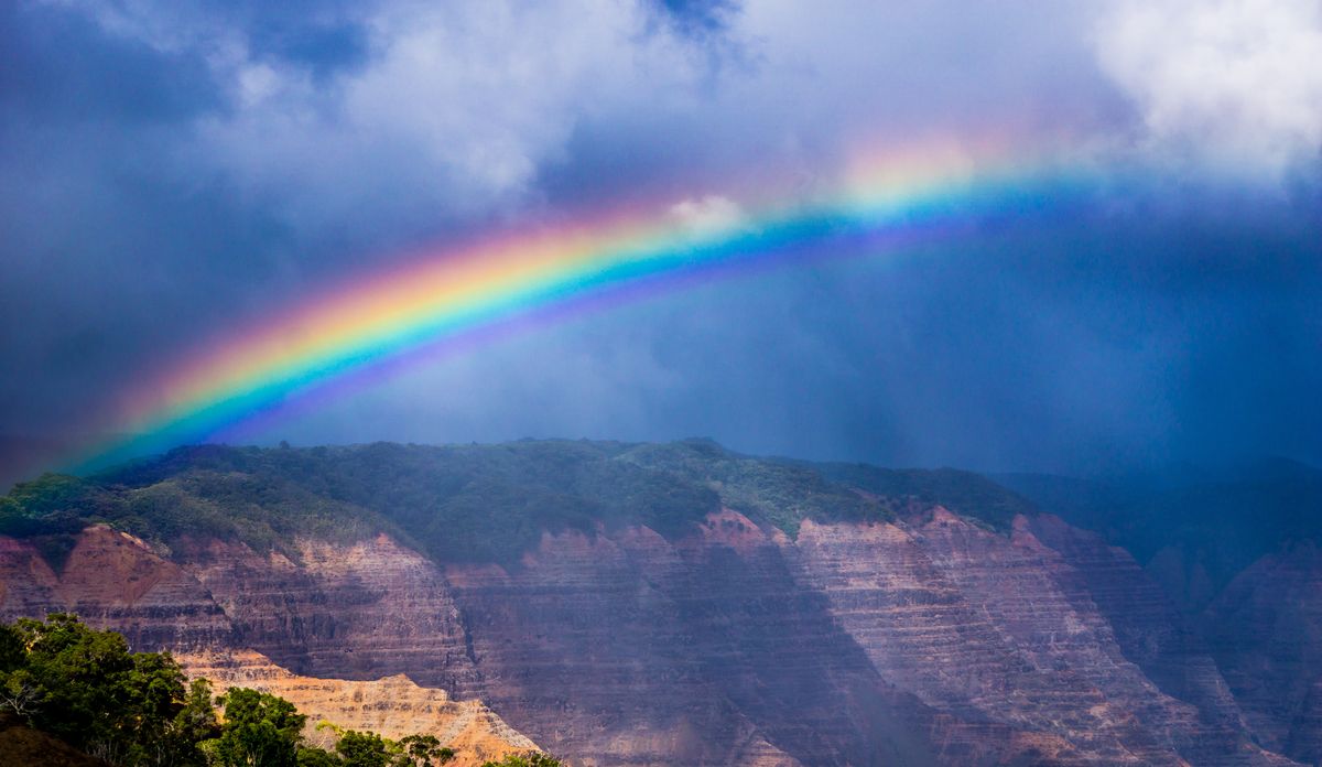写真・図版 : ハワイ島ワイメアの虹（Kevin B Beggs / Shutterstock.com