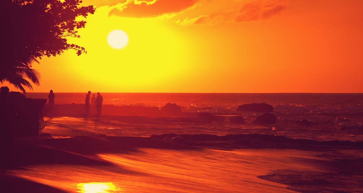 写真・図版 : ハワイの海岸（Shane Myers Photography / Shutterstock.com）