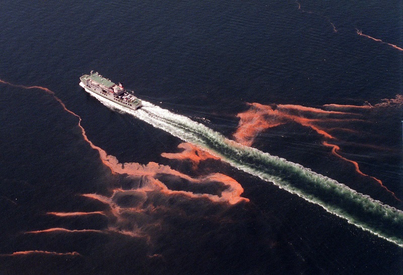 写真・図版 : 瀬戸内海に発生した赤潮＝1995年8月14日、兵庫県・淡路島沖で本社ヘリから 