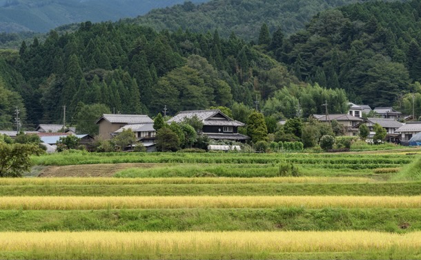 豊かな森林を残した日本の「文明の形」