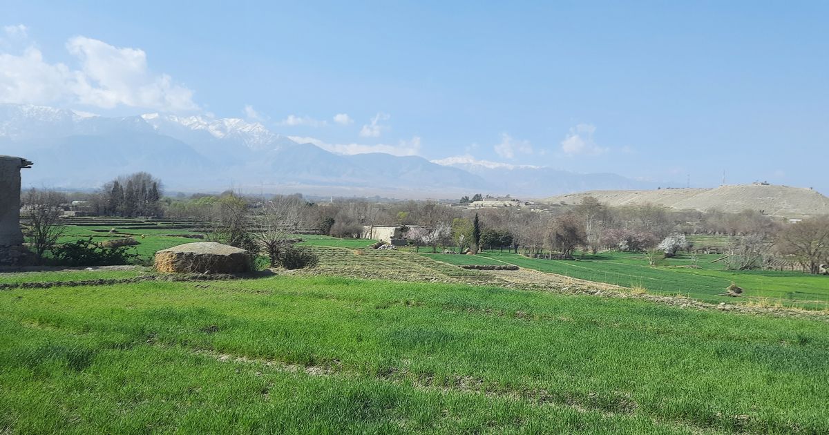 写真・図版 : アフガニスタン東部の農村風景（日本のNGO提供）©パスウェイズ・ジャパン