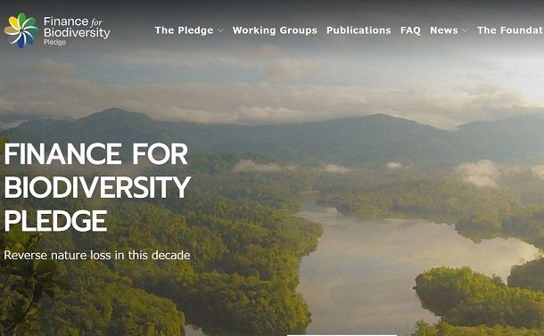写真・図版 : Finance for Biodiversity Pledge（生物多様性のためのファイナンス協定）のホームページ