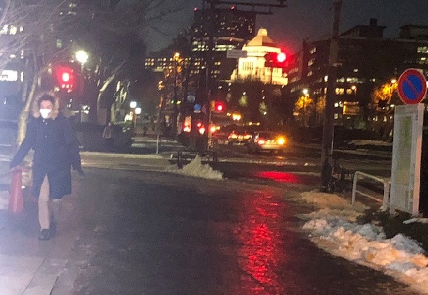 写真・図版 : 6日の雪で路面が凍って滑りそう＝国会議事堂前、撮影・筆者