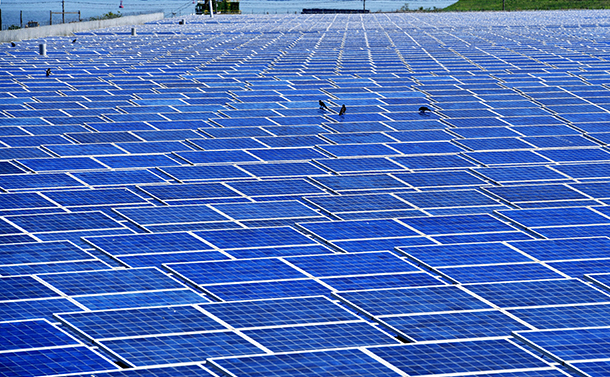 太陽光パネルが並ぶメガソーラー発電＝2018年5月、大阪市此花区