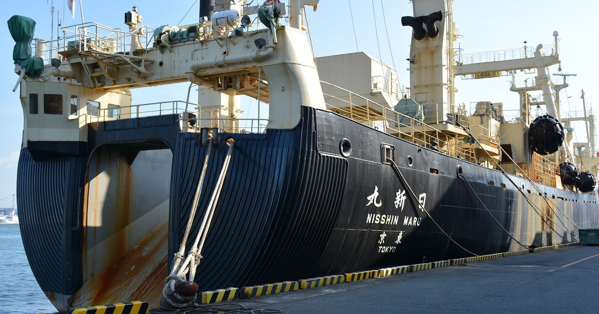 写真・図版 : 下関に入港した捕鯨母船「日新丸」＝2021年11月14日、山口県下関市