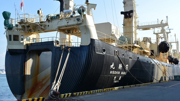写真・図版 : 下関に入港した捕鯨母船「日新丸」＝2021年11月14日、山口県下関市