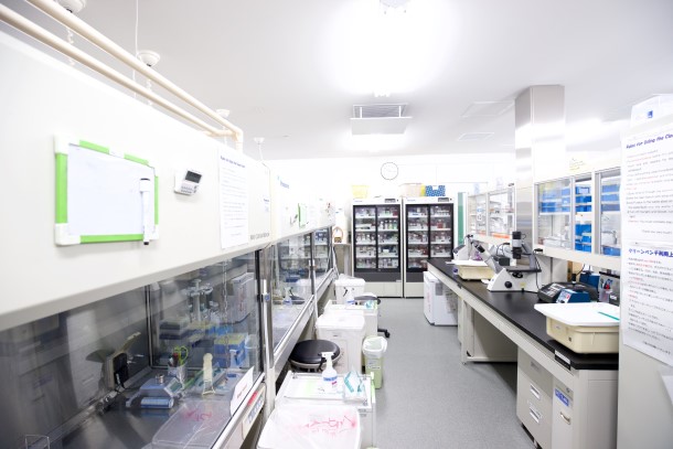 写真・図版 : 細胞実験室。創成したナノ医療品が細胞にどう作用するのかを調べる