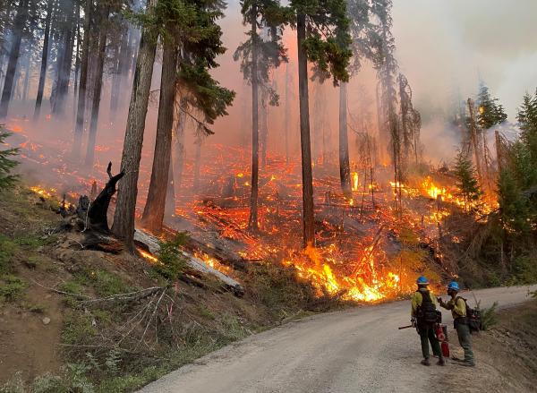 米国オレゴン州で発生した山火事の消火活動にあたる消防士たち＝2021年8月、InciWeb提供  
