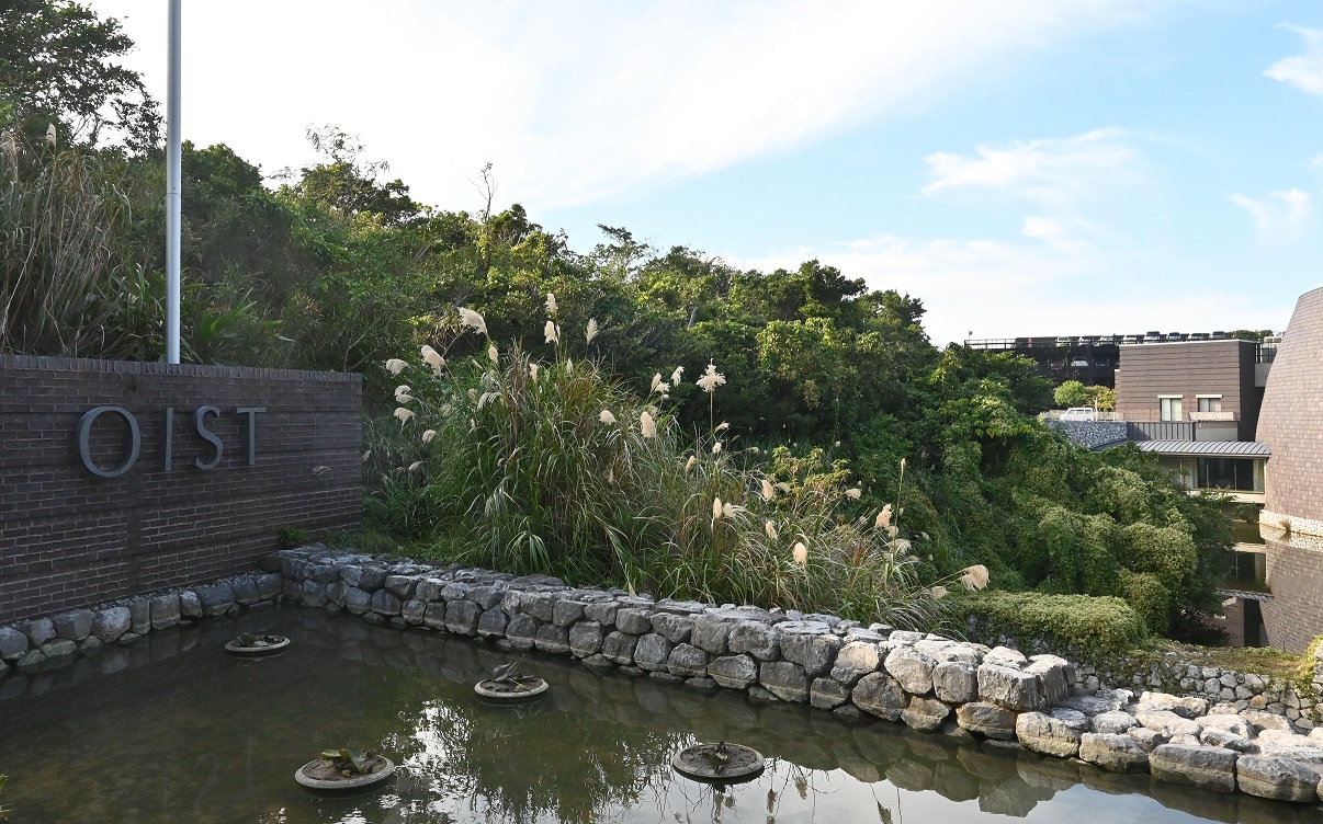 沖縄科学技術大学院大学(OIST)は自然豊かな環境にキャンパスがある＝2021年12月、沖縄県恩納村、朝日新聞社