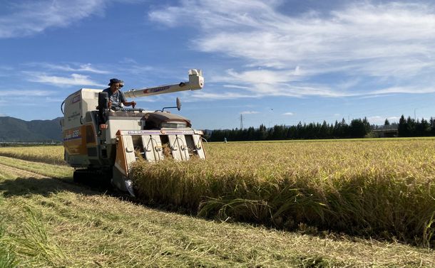 写真・図版 : 待ちに待った収穫の秋。実った稲をコンバインで刈り取り脱穀する＝筆者撮影