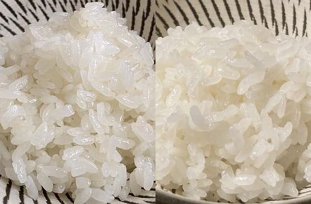 写真・図版 : 水を大幅に減らし、「おこわモード」で炊いたもち米（左）。うるち米をブレンドしたもち米（右）の方が粒感が強く出た＝筆者撮影