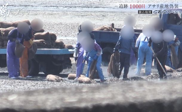 写真・図版 : 熊本県で行われていたアサリの「蓄養」