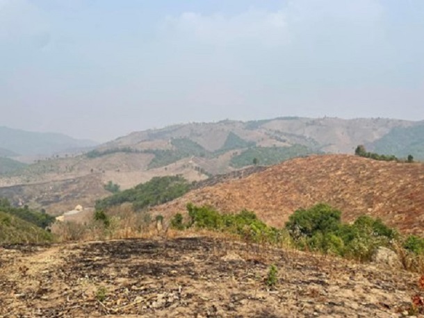 写真・図版 : 大規模な野焼きにより山全体が焼け果てている＝3月6日、タイ・チェンマイ県